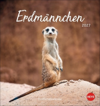Kalendár/Diár Erdmännchen Postkartenkalender 2027 