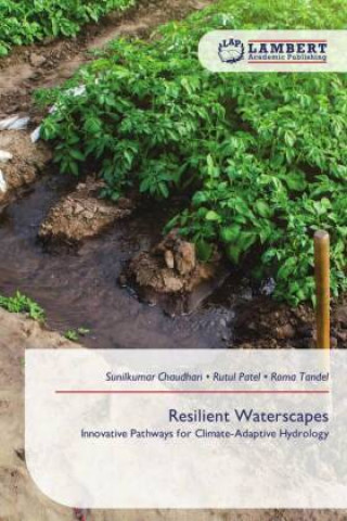 Kniha Resilient Waterscapes Sunilkumar Chaudhari