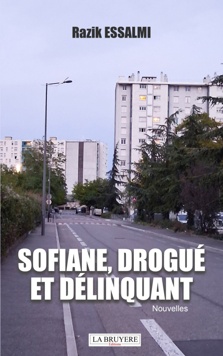 Kniha SOFIANE, DROGUE ET DELINQUANT ESSALMI