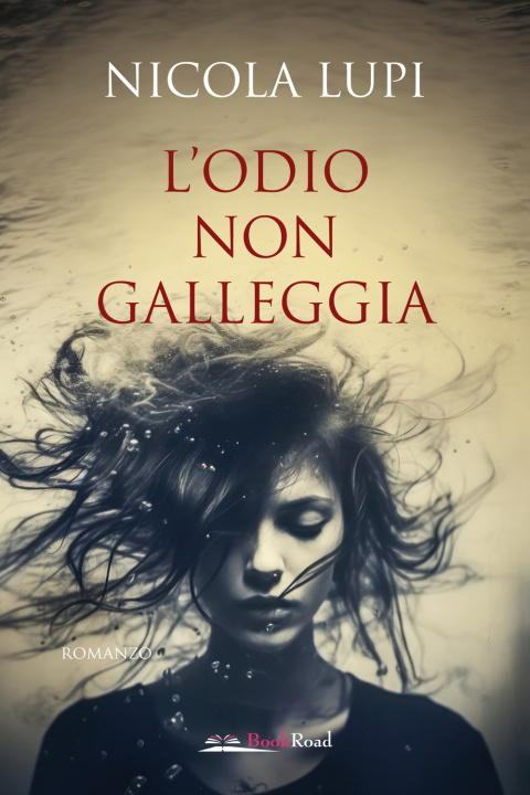 Carte odio non galleggia Nicola Lupi