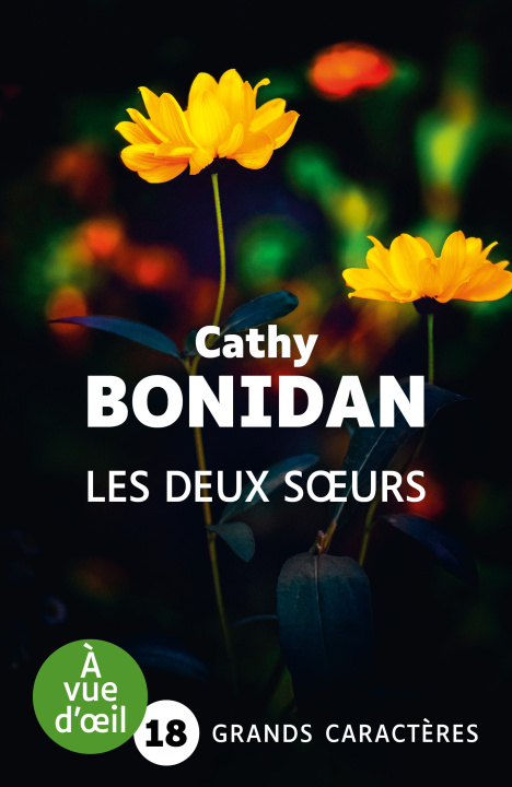 Kniha LES DEUX SOEURS Bonidan