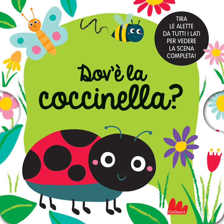 Kniha Dov'è la coccinella? Liza Lewis