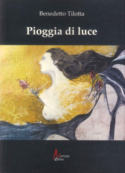 Kniha Pioggia di luce Benedetto Tilotta