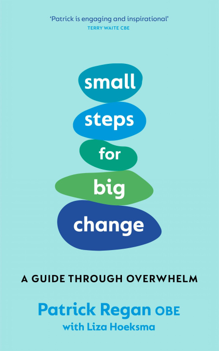 Kniha Small Steps for Big Change Patrick Regan