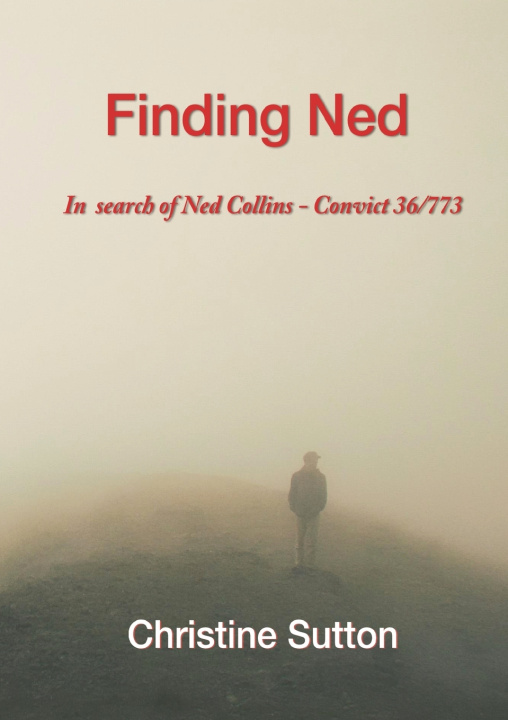Könyv Finding Ned Christine Sutton