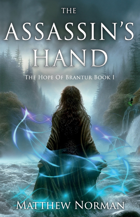 Kniha The Assassin's Hand Matthew Norman