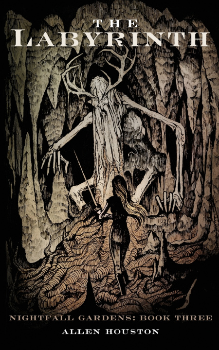 Knjiga The Labyrinth Allen Houston