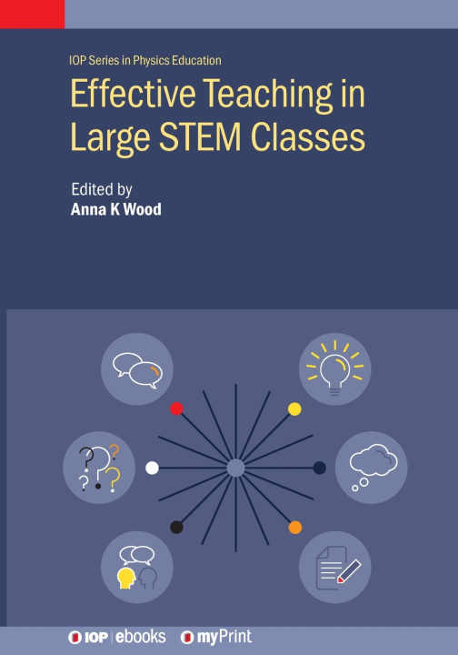 Kniha Effective Teaching in Large STEM Classes Anna Wood