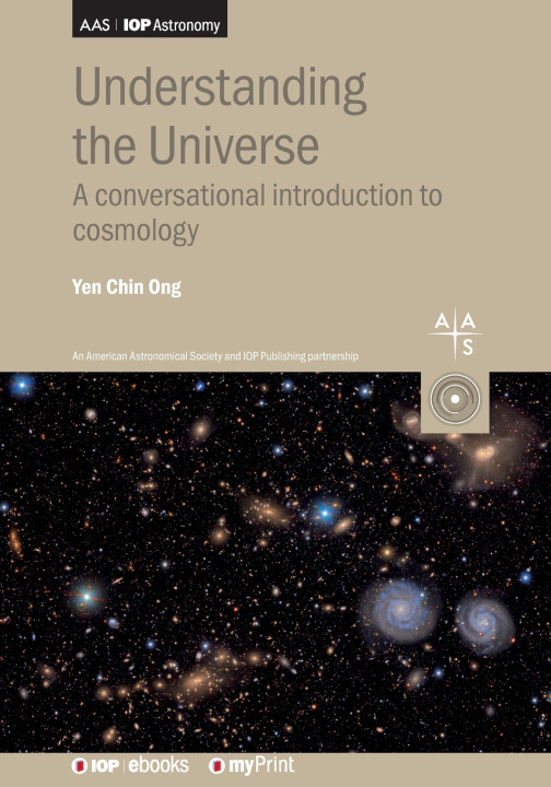 Kniha Understanding the Universe Yen Chin Ong