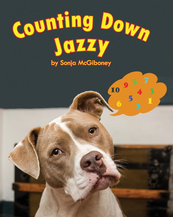 Kniha Counting Down Jazzy Sonja McGiboney