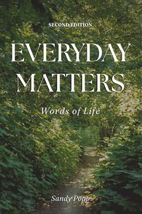 Kniha Everyday Matters Sandy Popp
