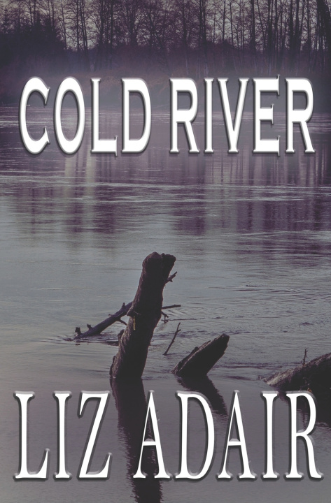 Kniha Cold River Liz Adair