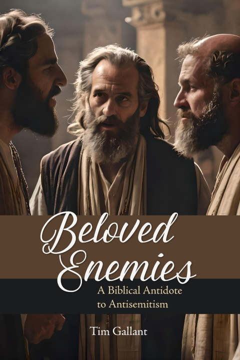 Kniha Beloved Enemies Tim Gallant
