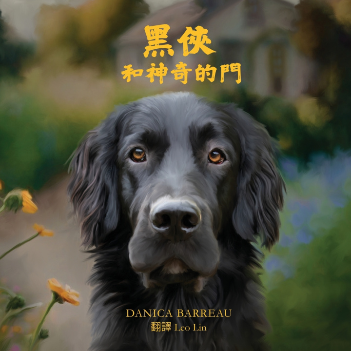 Knjiga Rook and the Magic Door (Chinese Edition) 黑俠和神奇的門 Danica Barreau