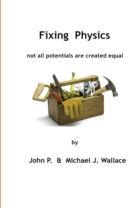 Kniha Fixing Physics Michael Wallace