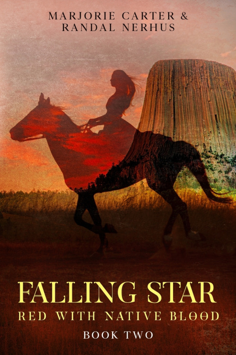 Könyv Falling Star Marjorie Carter