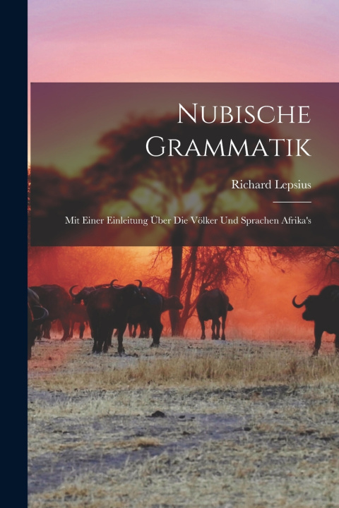 Kniha Nubische Grammatik Richard Lepsius