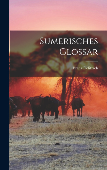 Kniha Sumerisches Glossar Franz Delitzsch