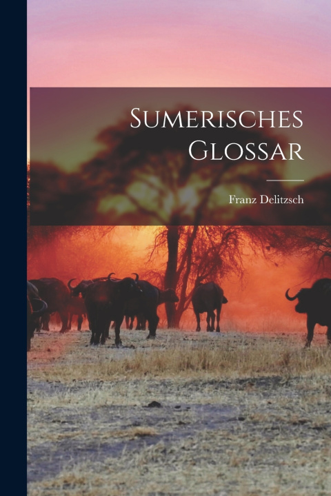 Könyv Sumerisches Glossar Franz Delitzsch