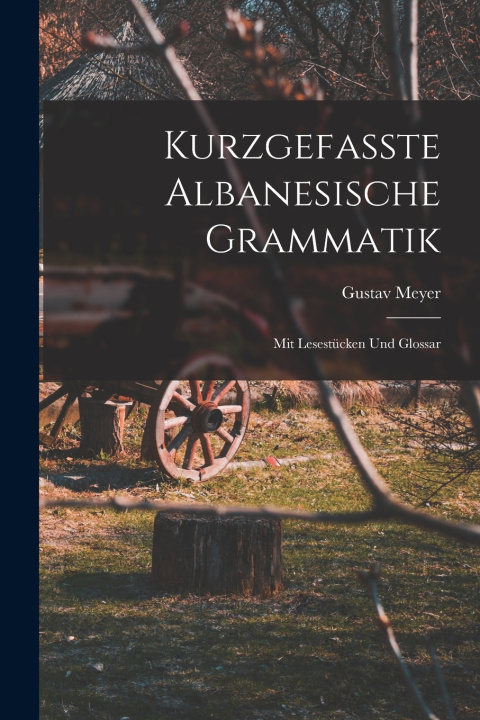 Kniha Kurzgefasste Albanesische Grammatik Gustav Meyer