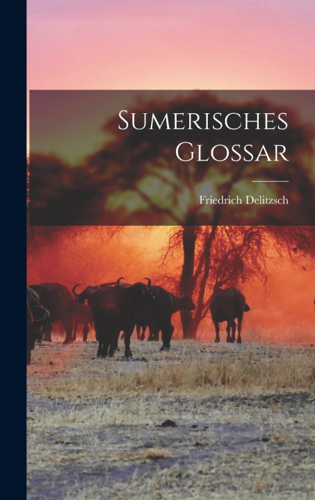 Kniha Sumerisches Glossar Friedrich Delitzsch
