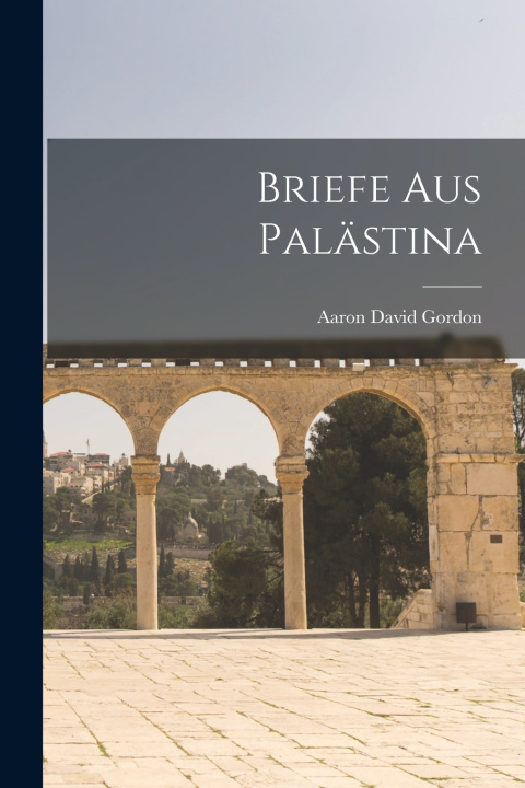 Kniha Briefe Aus Palästina Aaron David 1856-1922 Gordon