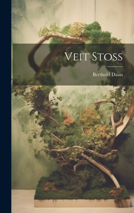 Kniha Veit Stoss Daun Berthold 1872-