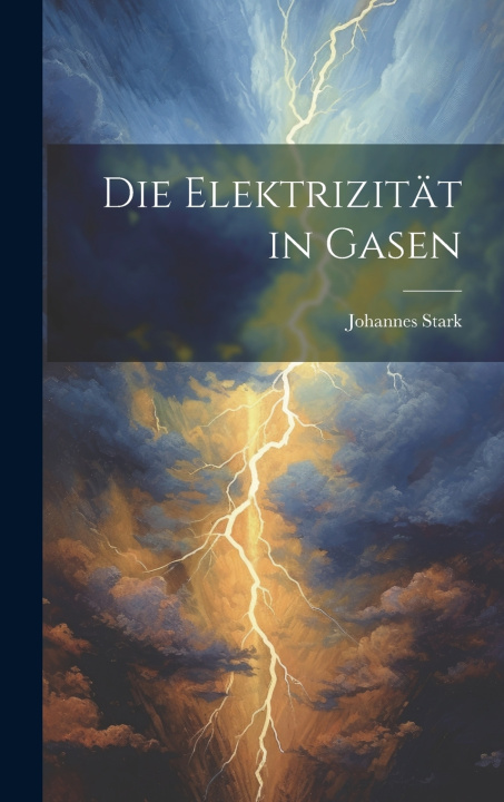 Knjiga Die Elektrizität in Gasen Johannes Stark