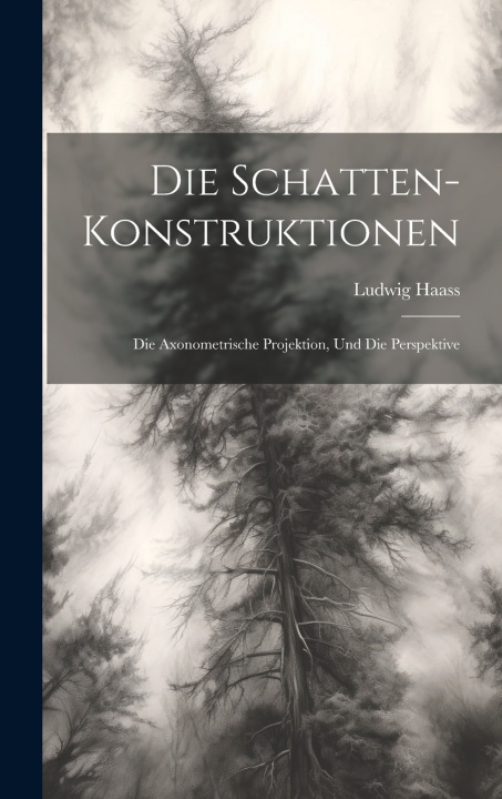 Kniha Die Schatten-Konstruktionen Ludwig Haass