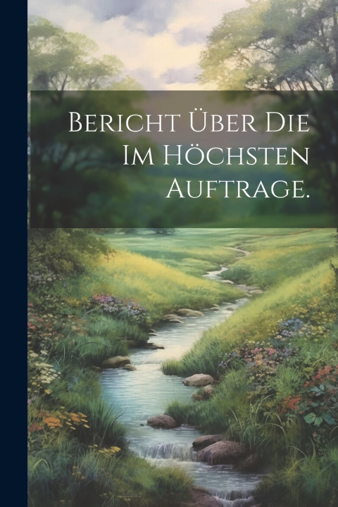 Kniha Bericht über die im höchsten Auftrage. Anonymous