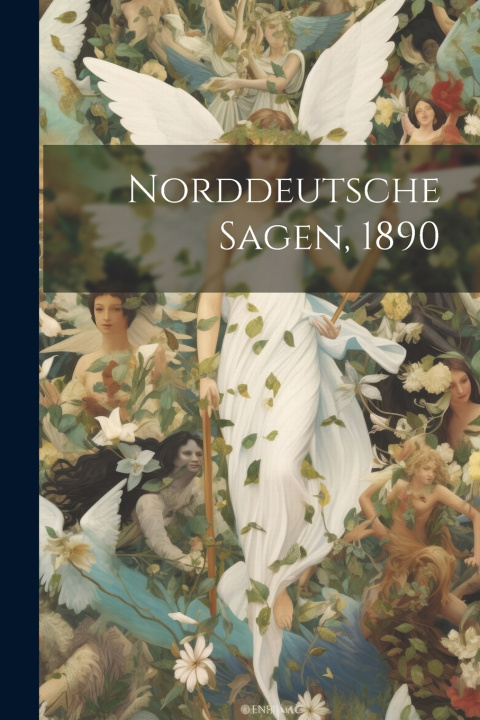 Kniha Norddeutsche Sagen, 1890 Anonymous