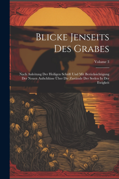 Kniha Blicke Jenseits Des Grabes Anonymous