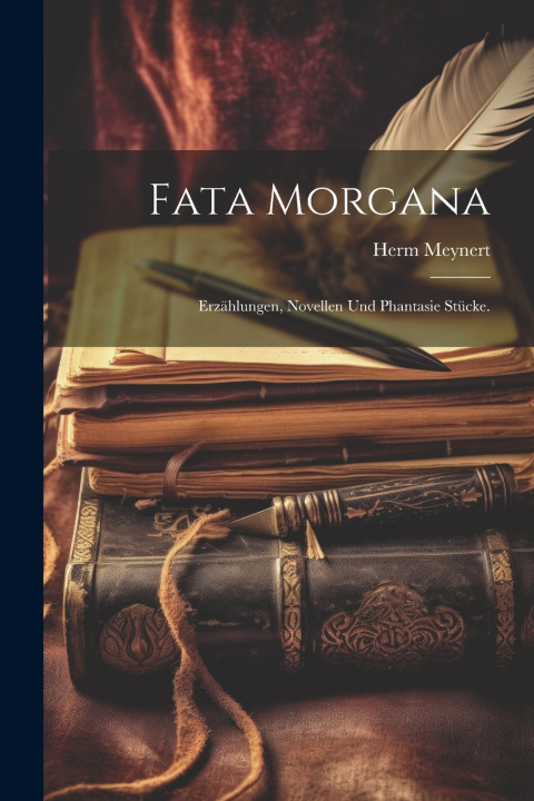 Kniha Fata Morgana Herm Meynert