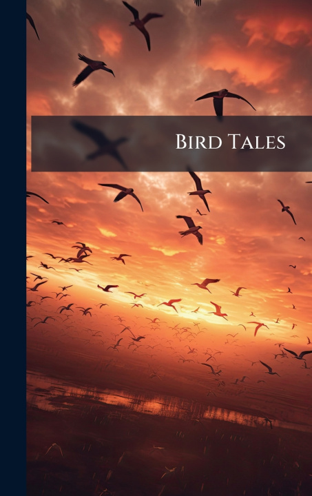 Könyv Bird Tales Anonymous