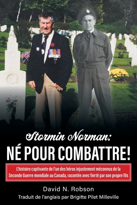 Книга Stormin Norman David N. Robson
