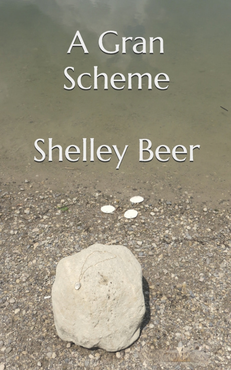 Kniha A Gran Scheme Shelley Beer