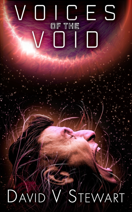 Boek Voices of the Void David V Stewart