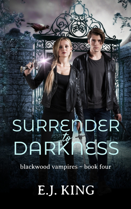 Knjiga Surrender to Darkness E.J. King