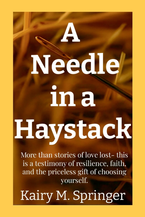 Kniha A Needle in a Haystack Kairy Springer
