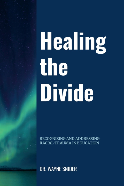 Kniha Healing the Divide Dr. Wayne Snider