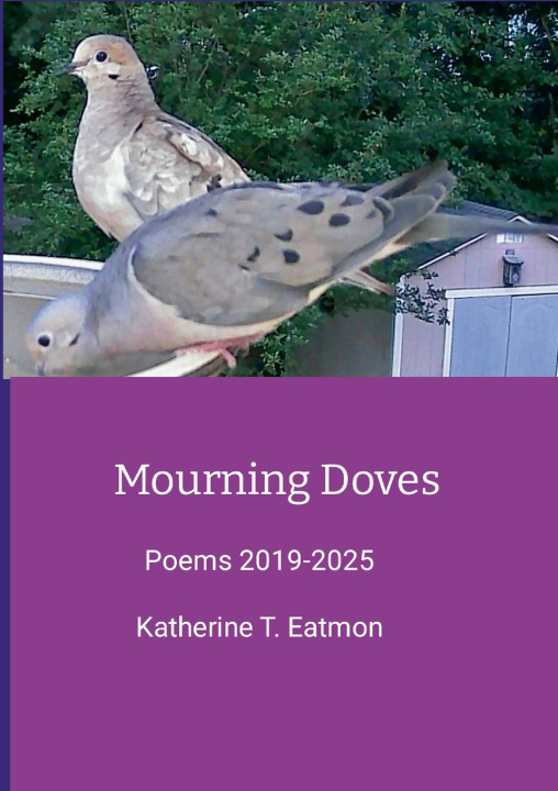 Kniha Mourning Doves Katherine T. Eatmon