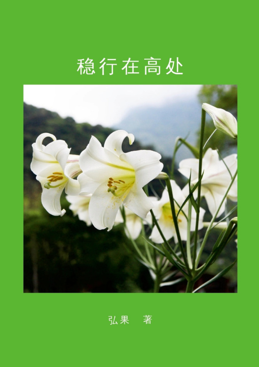 Kniha 稳行在高处 弘 果