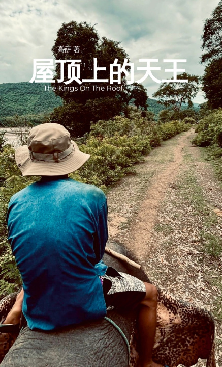 Boek 屋顶上的天王 Gosha Wen