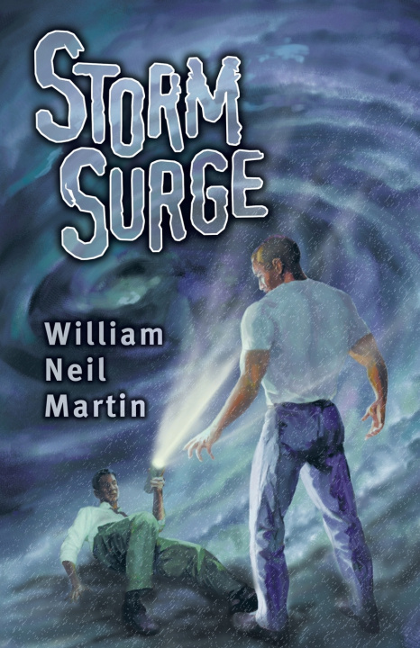Kniha Storm Surge William Neil Martin