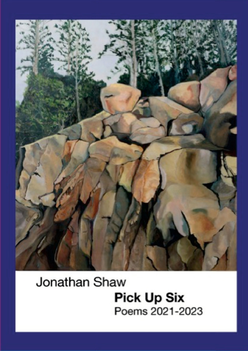 Kniha Pick up Six Jonathan Shaw