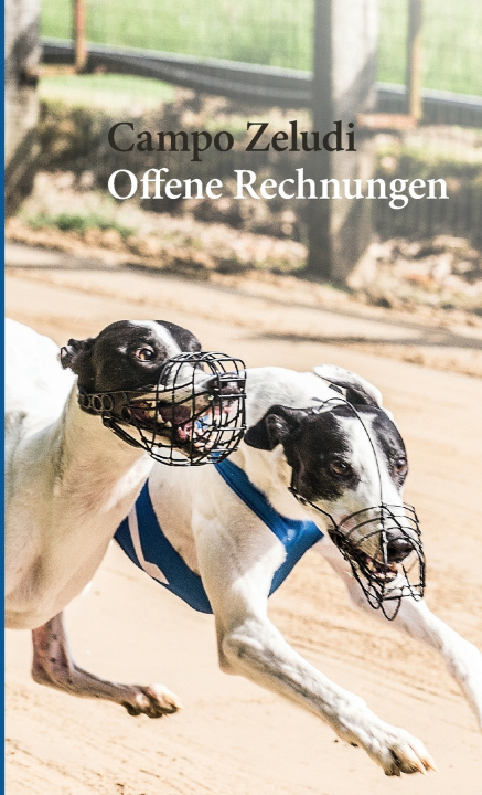 Knjiga Offene Rechnungen Campo Zeludi
