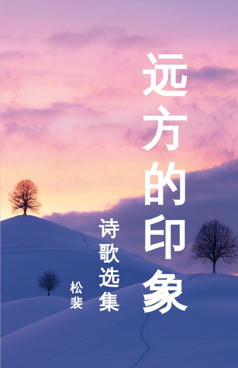 Libro 远方的印象 Nicole Song