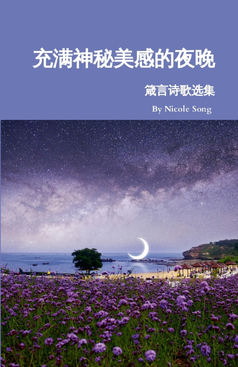 Kniha 充满神秘美感的夜晚 Nicole Song