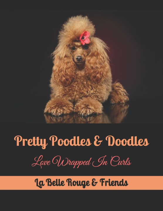 Boek Pretty Poodles & Doodles La Belle Rouge