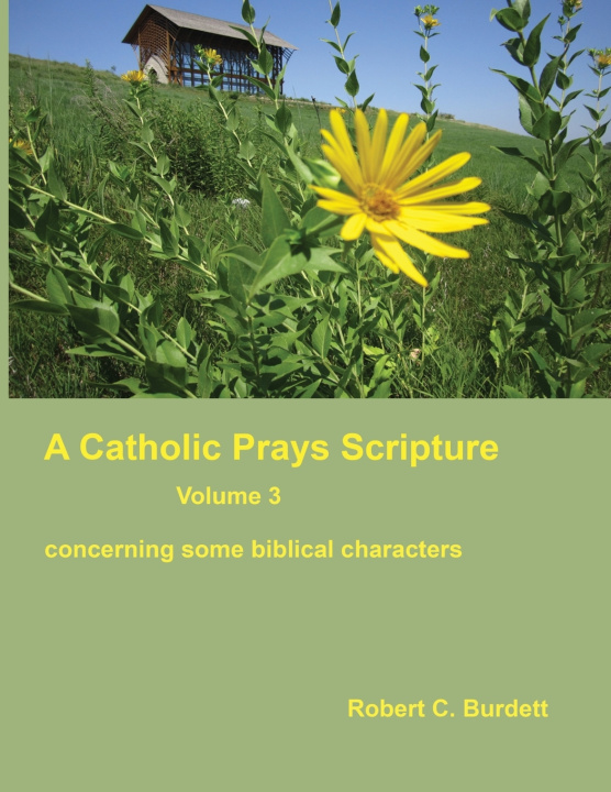 Kniha A Catholic Prays Scripture Robert C. Burdett